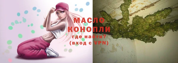 дживик Володарск